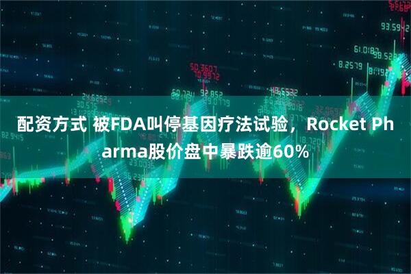 配资方式 被FDA叫停基因疗法试验，Rocket Pharma股价盘中暴跌逾60%