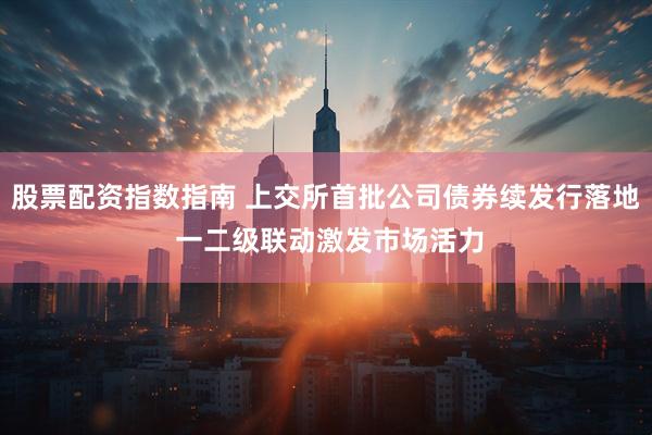 股票配资指数指南 上交所首批公司债券续发行落地 一二级联动激发市场活力